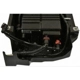 Purchase Top-Quality Cartouche de stockage des vapeurs de carburant par BLUE STREAK (HYGRADE MOTOR) - CP3502 pa1