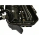 Purchase Top-Quality Cartouche de stockage des vapeurs de carburant de BLUE STREAK (HYGRADE MOTOR) - CP3554 pa1