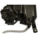 Purchase Top-Quality Fuel Vapor Storage Canister by BLUE STREAK (HYGRADE MOTOR) - CP3646 pa1