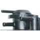 Purchase Top-Quality Fuel Vapor Storage Canister by BLUE STREAK (HYGRADE MOTOR) - CP450 pa1