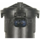 Purchase Top-Quality Fuel Vapor Storage Canister by BLUE STREAK (HYGRADE MOTOR) - CP565 pa7