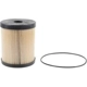 Purchase Top-Quality Fuel Water Separator Filter by FRAM - CS10145 pa3