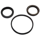 Purchase Top-Quality SUNSONG NORTH AMERICA - 8401238 - Steering Gear Pitman Shaft Seal Kit pa1