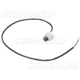 Purchase Top-Quality General Purpose Switch by BLUE STREAK (HYGRADE MOTOR) - DS3151 pa5