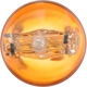 Purchase Top-Quality Glove Box Light by PHILIPS - 7440NALLB2 pa3