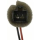 Purchase Top-Quality Glove Box Switch by BLUE STREAK (HYGRADE MOTOR) - AW1081 pa5