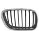 Purchase Top-Quality Grille Assembly - BM1200153 pa1