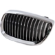 Purchase Top-Quality Grille Assembly - BM1200181 pa4