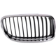 Purchase Top-Quality Grille Assembly - BM1200191 pa2