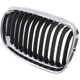 Purchase Top-Quality Grille Assembly - BM1200191 pa4