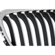 Purchase Top-Quality Grille Assembly - BM1200193 pa1