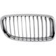 Purchase Top-Quality Grille Assembly - BM1200193 pa5