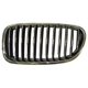 Purchase Top-Quality Grille Assembly - BM1200196 pa1