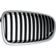 Purchase Top-Quality Grille Assembly - BM1200196 pa2