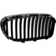 Purchase Top-Quality Grille Assembly - BM1200196 pa4