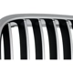 Purchase Top-Quality Grille Assembly - BM1200196 pa6