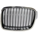 Purchase Top-Quality Grille Assembly - BM1200232 pa1