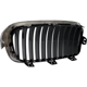 Purchase Top-Quality Grille Assembly - BM1200234 pa5