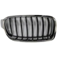 Purchase Top-Quality Grille Assembly - BM1200235 pa1