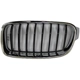 Purchase Top-Quality Grille Assembly - BM1200236 pa1