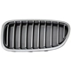 Purchase Top-Quality Grille Assembly - BM1200246 pa1