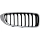 Purchase Top-Quality Grille Assembly - BM1200263 pa1