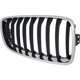 Purchase Top-Quality Grille Assembly - BM1200263 pa5