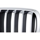 Purchase Top-Quality Grille Assembly - BM1200269 pa3