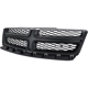 Purchase Top-Quality Grille Assembly - CH1200349 pa7