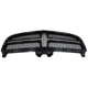 Purchase Top-Quality Grille Assembly - CH1200364C pa1