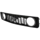 Purchase Top-Quality Various Manufacturers - FO1200422 - Grille Assembly pa6