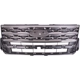 Purchase Top-Quality Grille Assembly - FO1200624C pa1