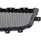 Purchase Top-Quality Grille Assembly - GM1200600PP pa2