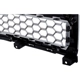 Purchase Top-Quality Grille Assembly - GM1200712 pa2