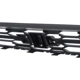 Purchase Top-Quality Grille Assembly - GM1200718C pa4