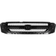 Purchase Top-Quality Grille Assembly - HO1200170 pa1