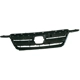 Purchase Top-Quality Grille Assembly - HO1200177 pa1