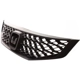 Purchase Top-Quality Grille Assembly - HO1200199 pa7