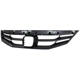 Purchase Top-Quality Grille Assembly - HO1200202 pa1