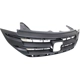 Purchase Top-Quality Grille Assembly - HO1200211 pa8