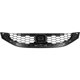 Purchase Top-Quality Grille Assembly - HO1200216 pa10