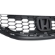 Purchase Top-Quality Grille Assembly - HO1200216PP pa5