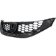 Purchase Top-Quality Grille Assembly - HO1200218C pa6