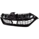 Purchase Top-Quality Grille Assembly - HO1200233 pa2