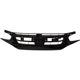 Purchase Top-Quality Grille Assembly - HO1200242 pa9