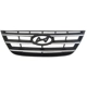 Purchase Top-Quality Grille Assembly - HY1200152 pa1