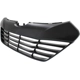 Purchase Top-Quality Grille Assembly - HY1200156 pa5