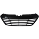 Purchase Top-Quality Grille Assembly - HY1200156PP pa1