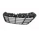 Purchase Top-Quality Grille Assembly - HY1200158C pa1