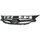 Purchase Top-Quality Grille Assembly - HY1200161 pa1